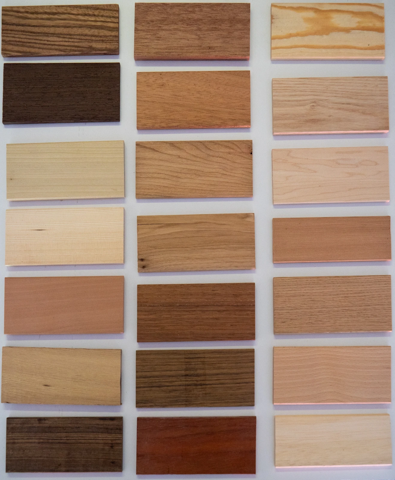 Different sample of woods from Reifier, furniture maker in Amsterdam